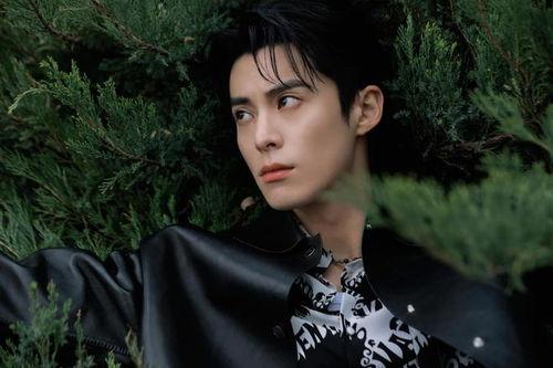 爆料娱乐圈王鹤棣是谁,王鹤棣的崛起之路  第3张 爆料娱乐圈王鹤棣是谁,王鹤棣的崛起之路  第3张